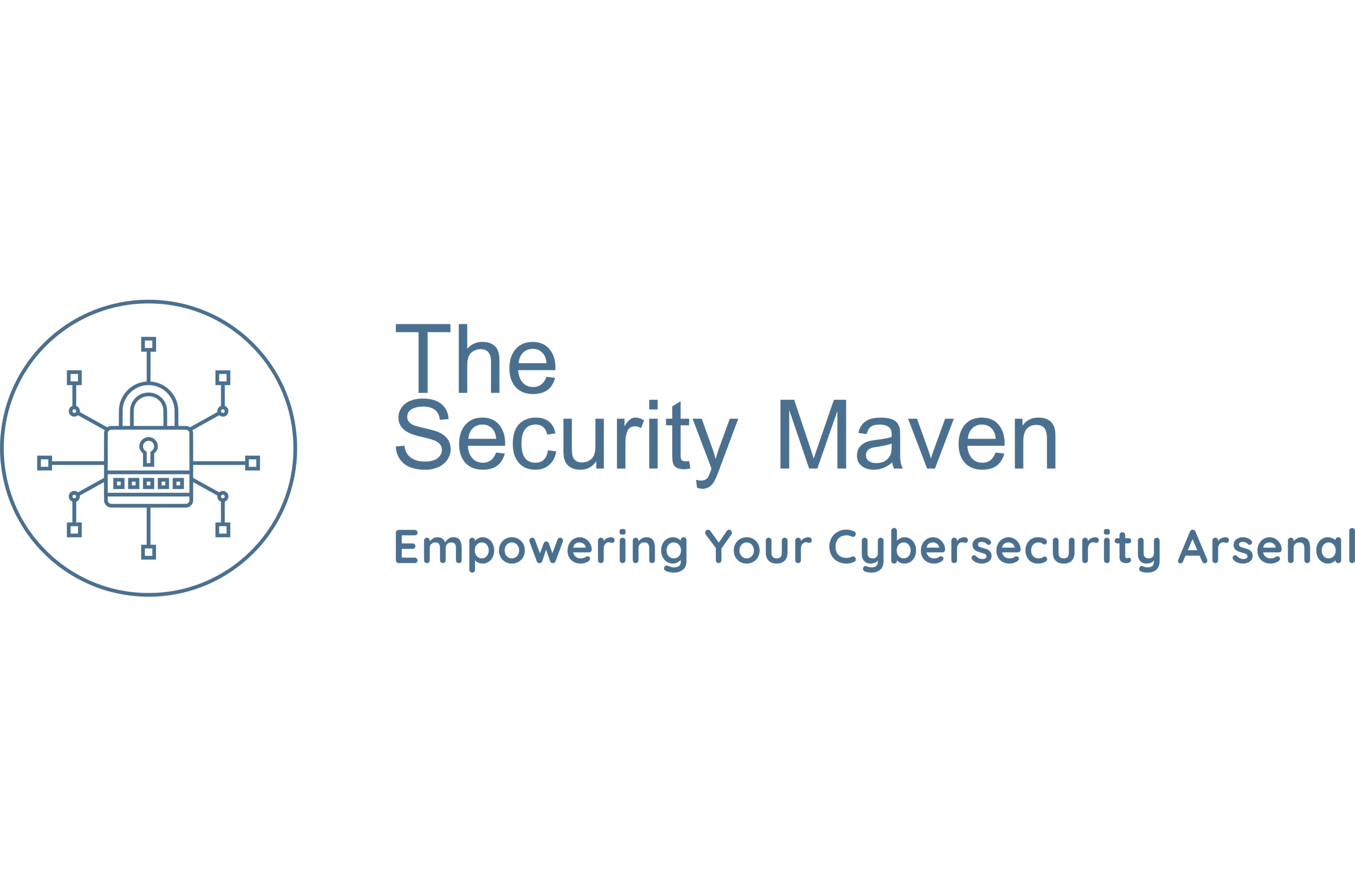 The Security Maven